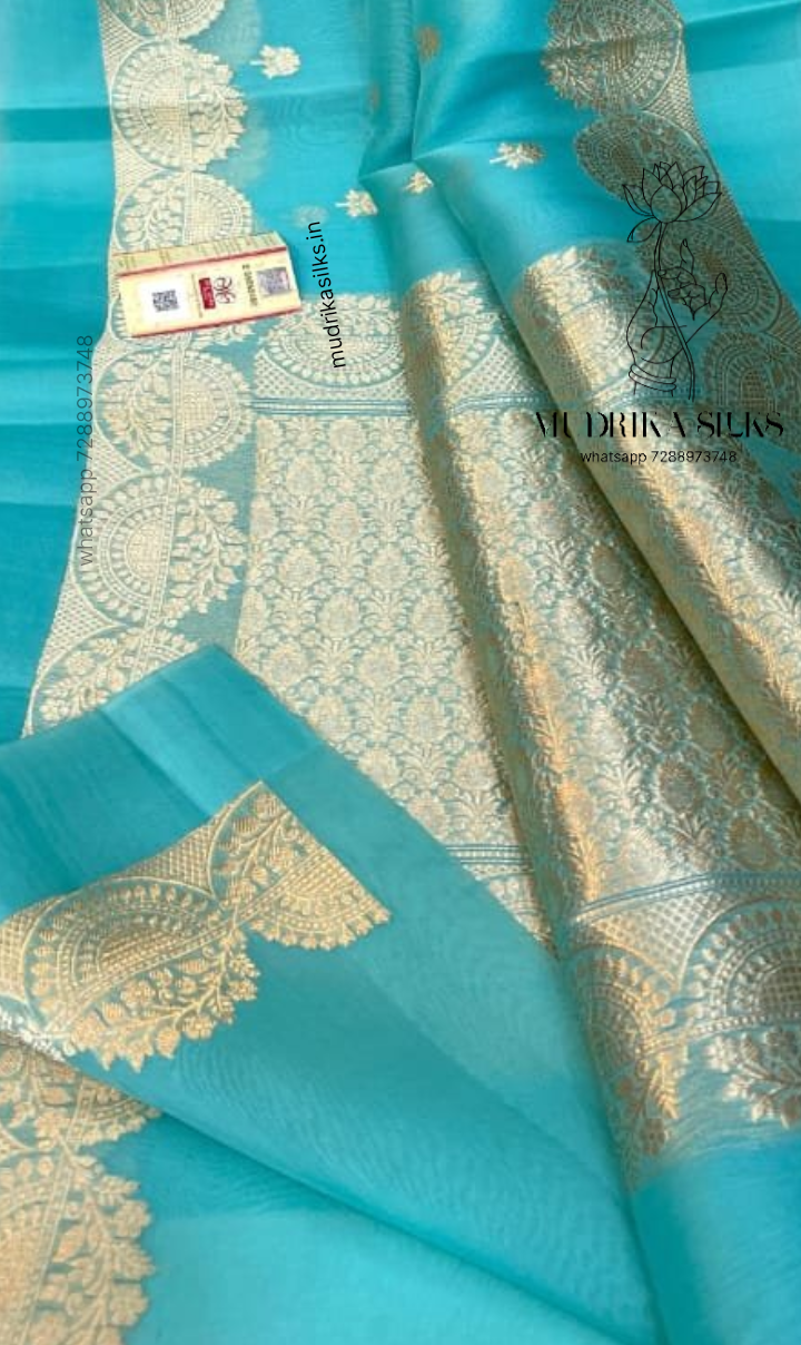Sky-blue benaras kora organza saree with double zari weaving design